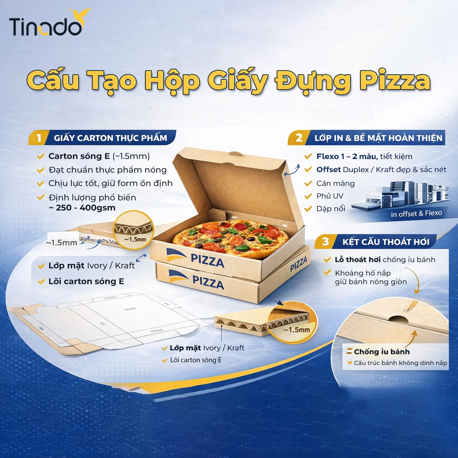 Cấu tạo hộp pizza