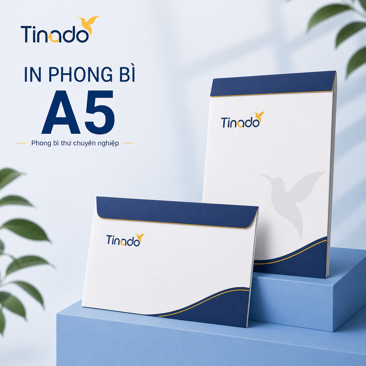 In phong bì A5