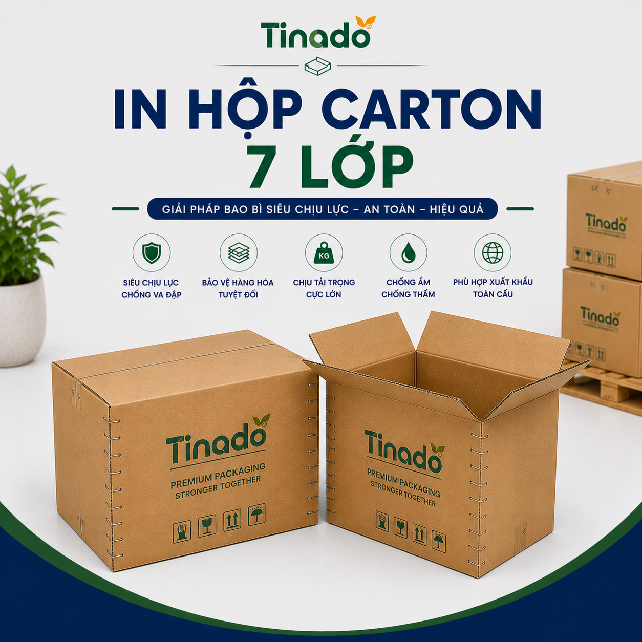 In Hộp Carton 7 Lớp