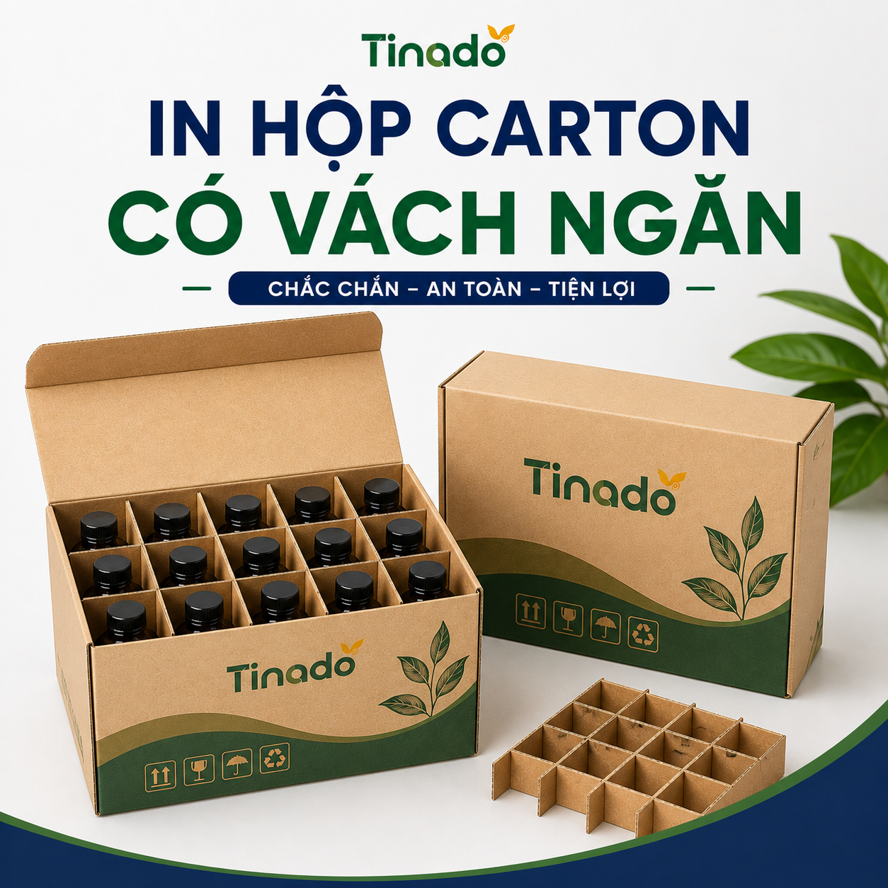 In Hộp Carton Có Vách Ngăn
