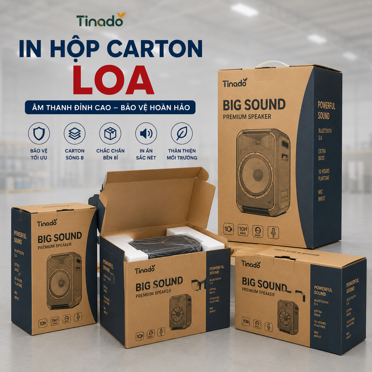 In Hộp Carton Loa