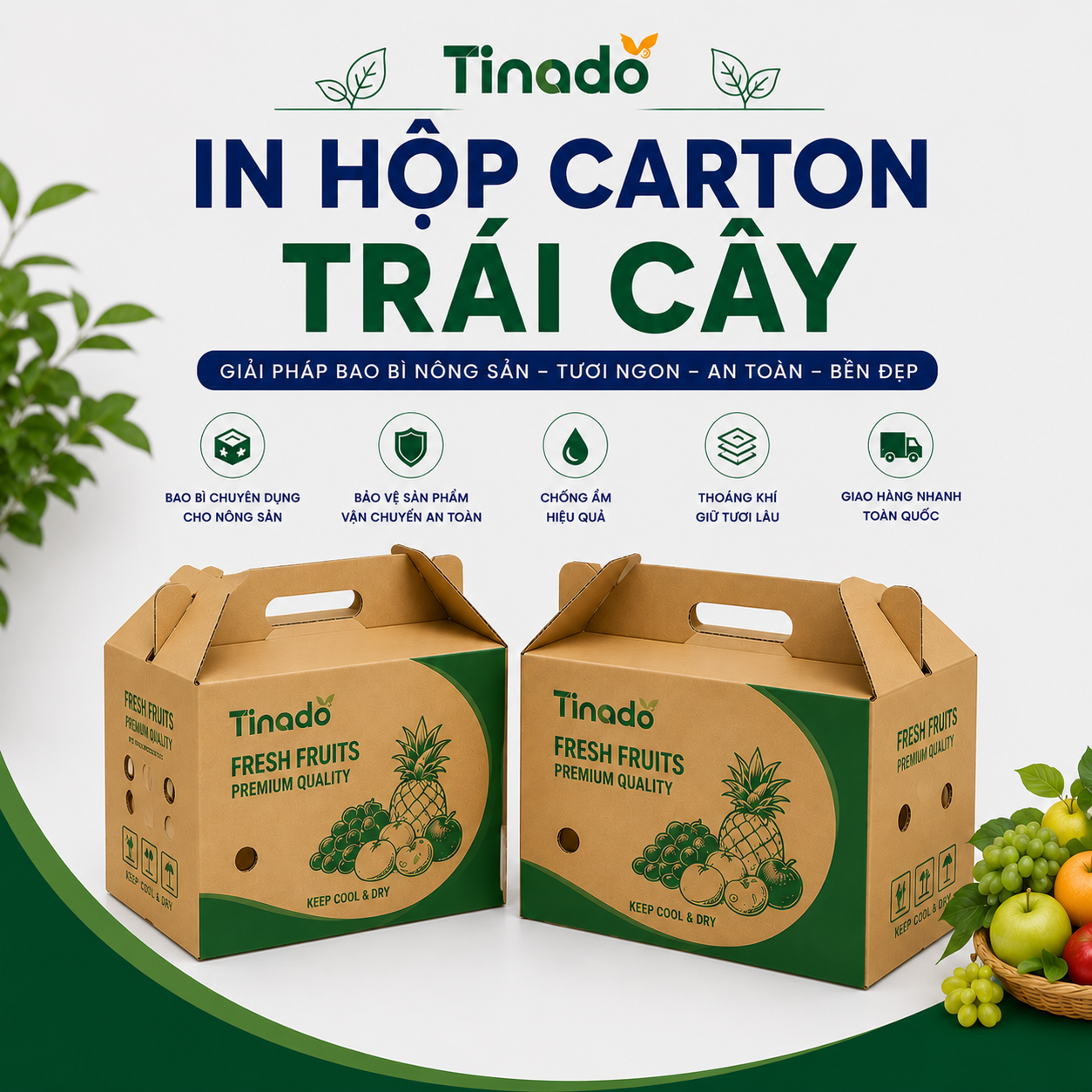 In Hộp Carton Trái Cây