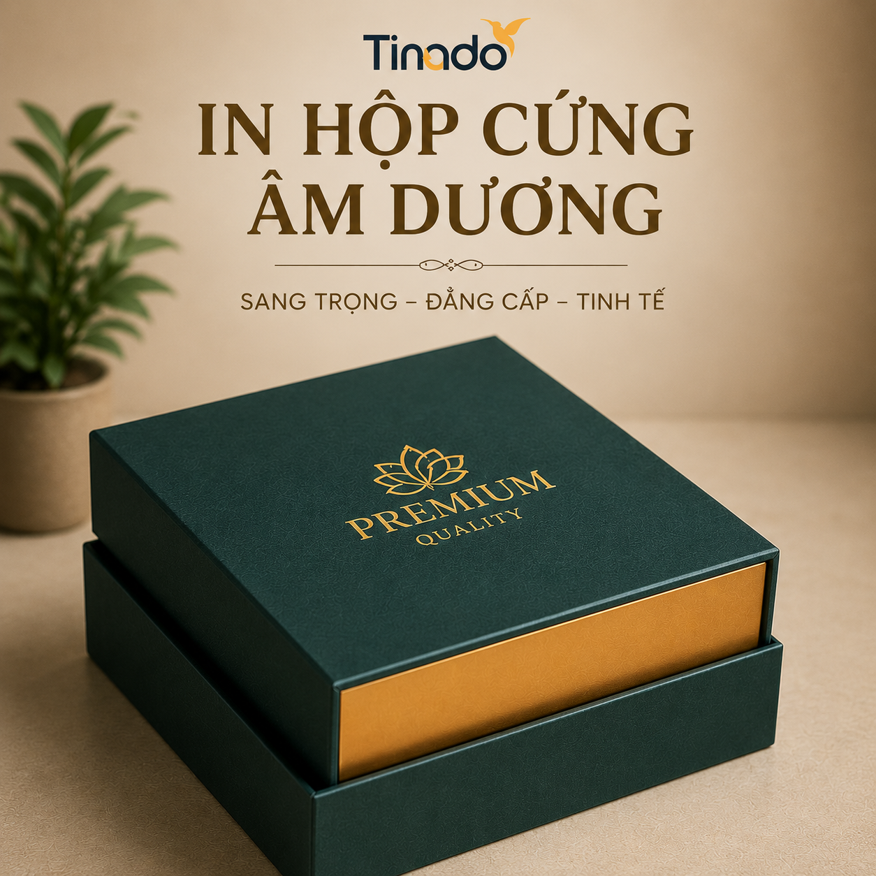 In Hộp Cứng Âm Dương