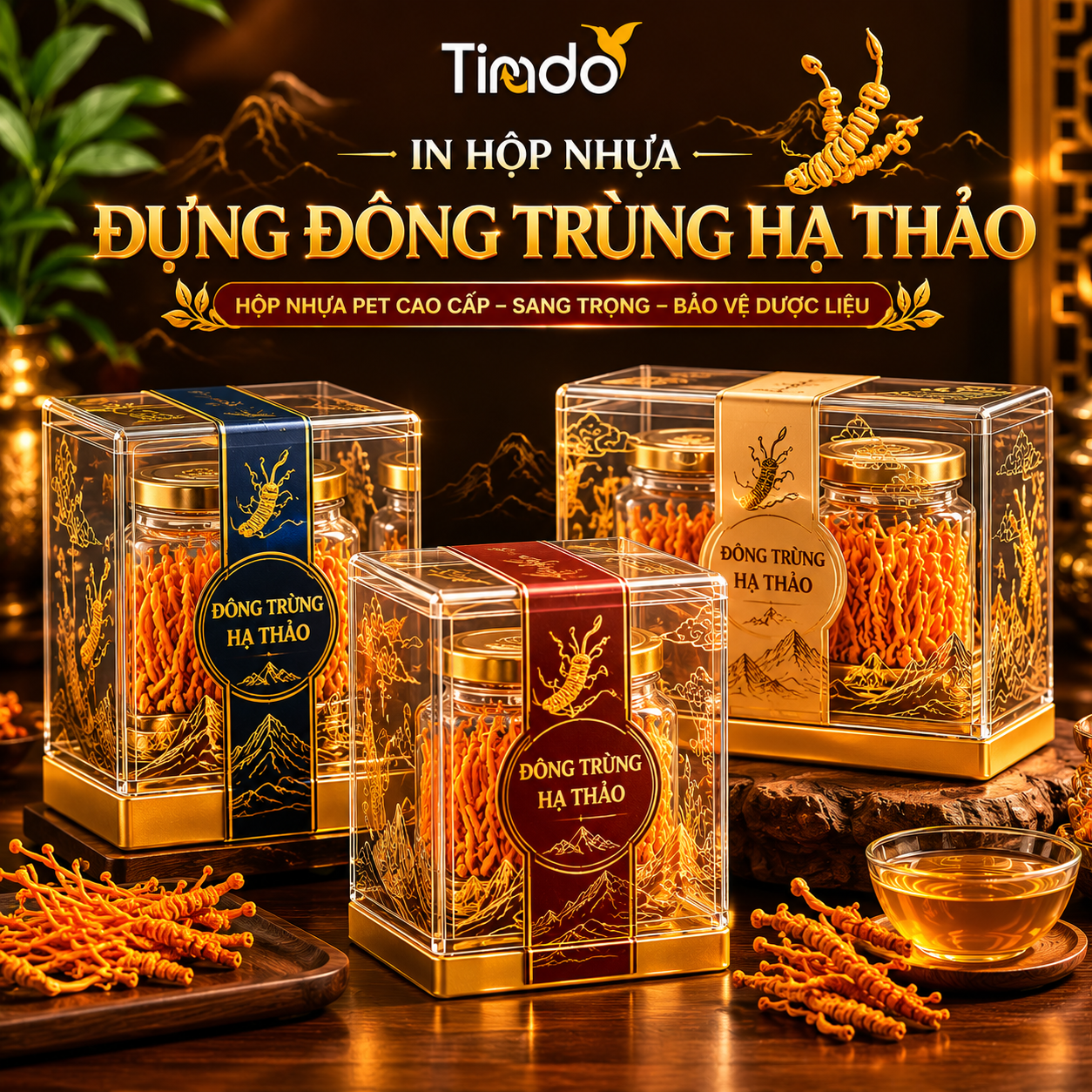 In Hộp Nhựa Đựng Đông Trùng Hạ Thảo