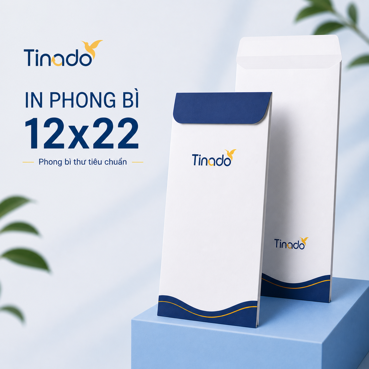 In phong bì 12x22