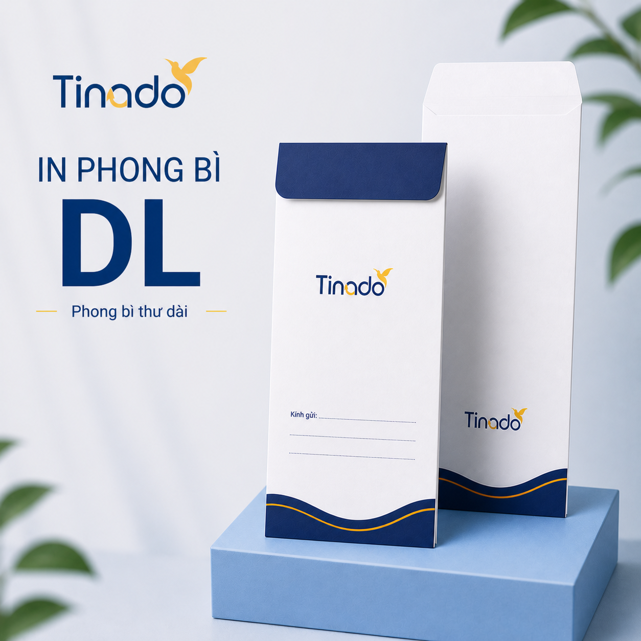 In phong bì DL