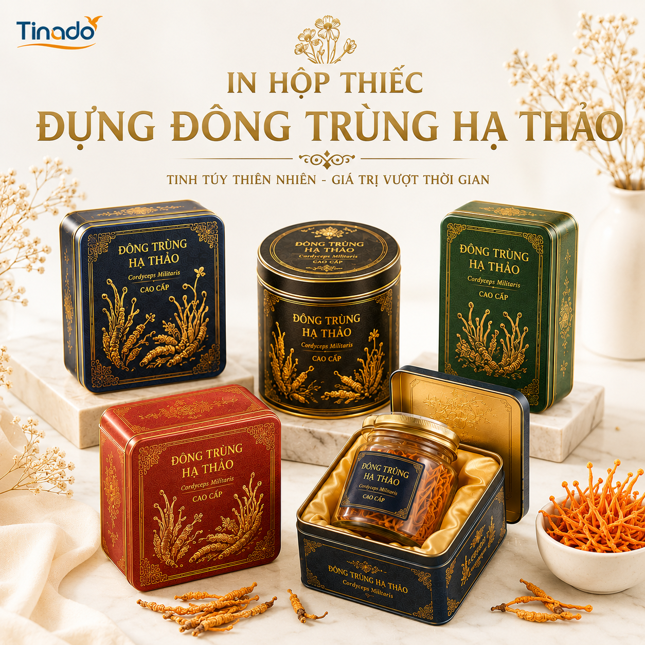 In Hộp Thiếc Đựng Đông Trùng Hạ Thảo